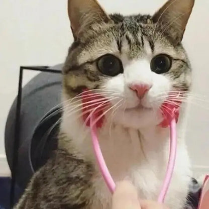 Pet+ presents Massager | Pet Well-being | Pet Accessories | Pet Supplies