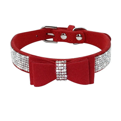 Pet+ presents Leather Collars for small pets | Pet Collars | Pet Fashion