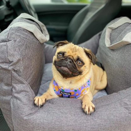 Pet+ presents Premium Travel Bed | Pet Accessories | Pet Supplies | Pet Travel