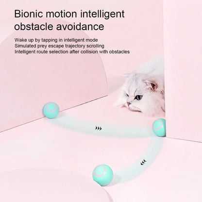 Pet+ presents Smart Rolling Ball 2.0 | Cat and Dog Toys | Auto Rolling Ball | Self Moving Ball | Pet Accessories