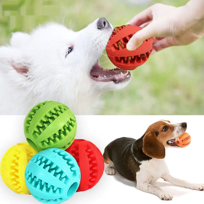 Pet+ presents Rubber Balls | Interactive Chewing Toys