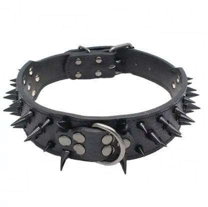 Pet+ presents Spiked Studded Leather Collars | Collars for Dogs and Cats | Pet Fashion