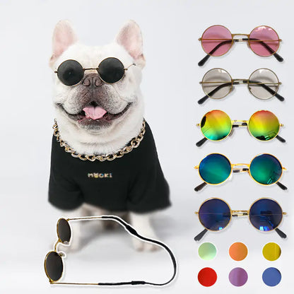 Pet+ presents Dog Sunglasses | Pet Accessories | Pet Fashion | Dog Fashion