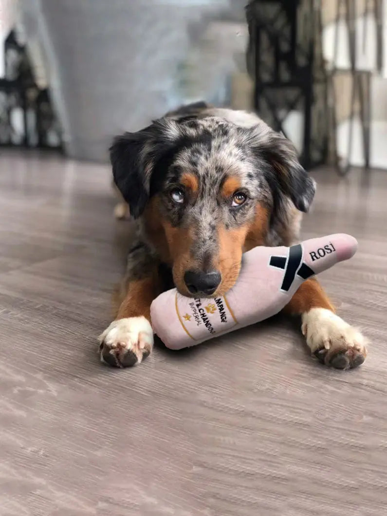 Pet+ presents Pet Beverage | Dog and Cat Toy | Whiskey | Beer | Champagne | Latte | Perfume