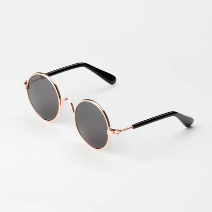 Pet+ presents Dog Sunglasses | Pet Accessories | Pet Fashion | Dog Fashion