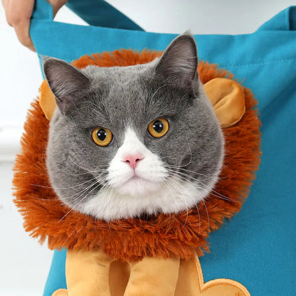 Pet+ presents Pet Carriers | Pet Accessories | Pet Supplies | Pet Travel
