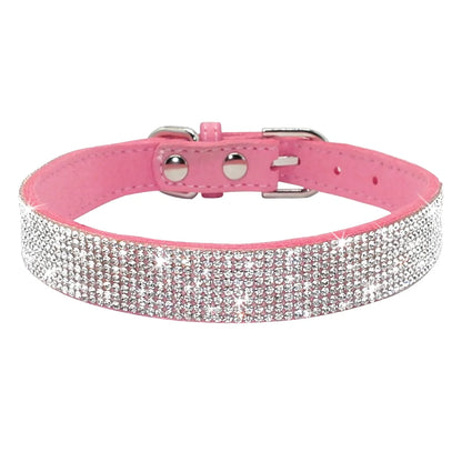 Pet+ presents Leather Collars for small pets | Pet Collars | Pet Fashion