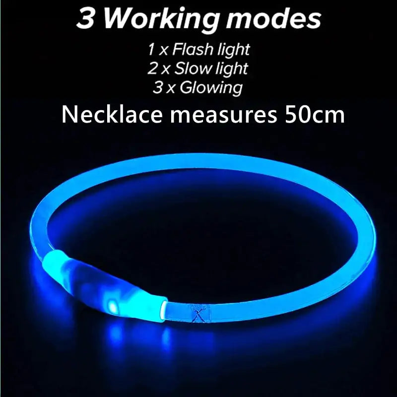 Pet+ presents LED Dog Collars | Pet Accessories | Waterproof Dog Collar