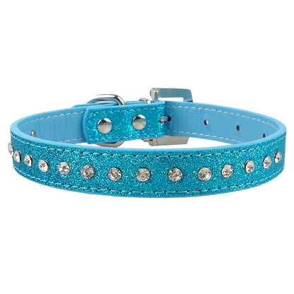 Pet+ presents Leather Collars for small pets | Pet Collars | Pet Fashion