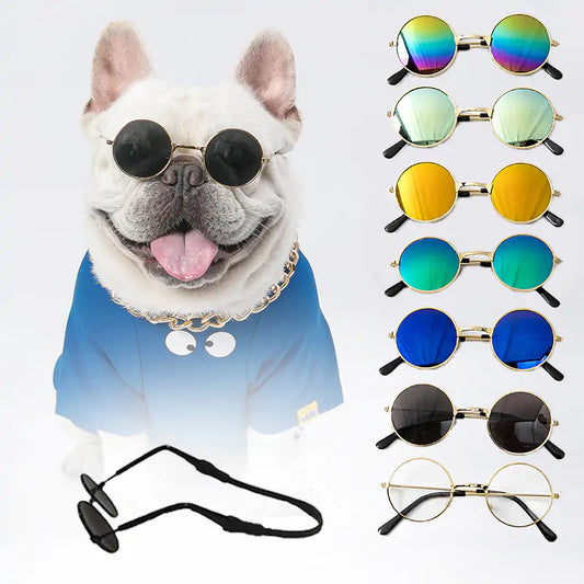 Pet+ presents Dog Sunglasses | Pet Accessories | Pet Fashion | Dog Fashion