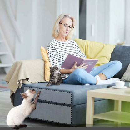 Pet+ presents Cat Scratch Protection Sheet | FURNITURE GUARD