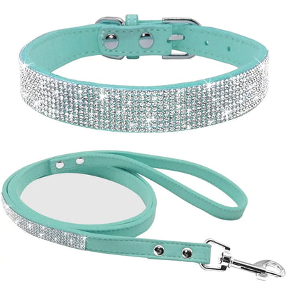 Pet+ presents Exclusive Leather Collar & Leash Combo | Pet Accessories | Pet Fashion