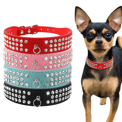 Pet+ presents Leather Collars for small pets | Pet Collars | Pet Fashion