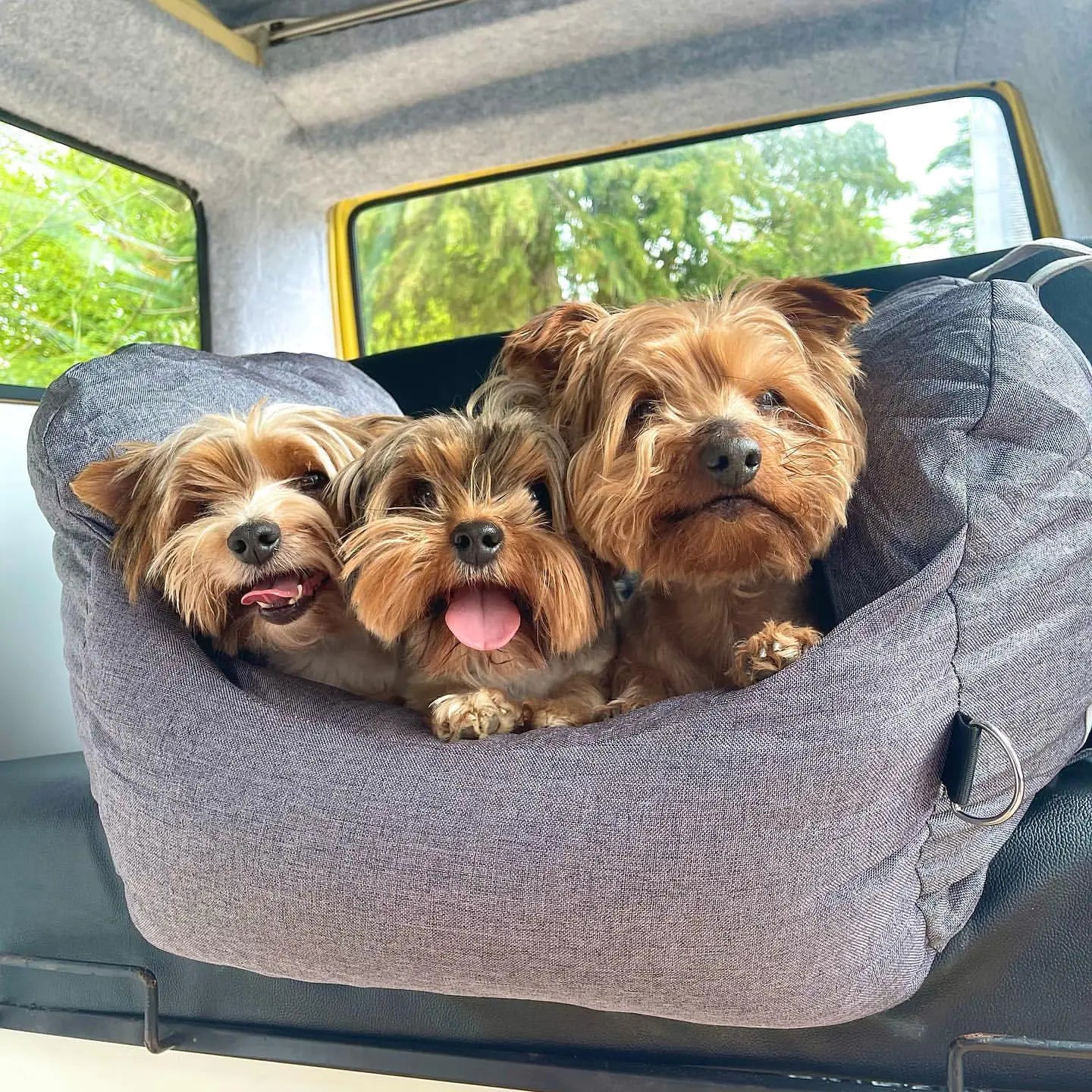 Pet+ presents Premium Travel Bed | Pet Accessories | Pet Supplies | Pet Travel