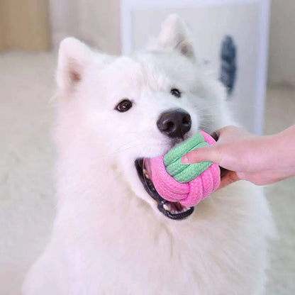 Pet+ presents Chew Ropes | Pet Chew Toy