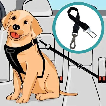 Pet+ presents Pet Seatbelt | Pet Accessories | Pet Safety | Pet Supplies