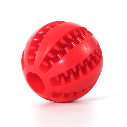 Pet+ presents Rubber Balls | Interactive Chewing Toys