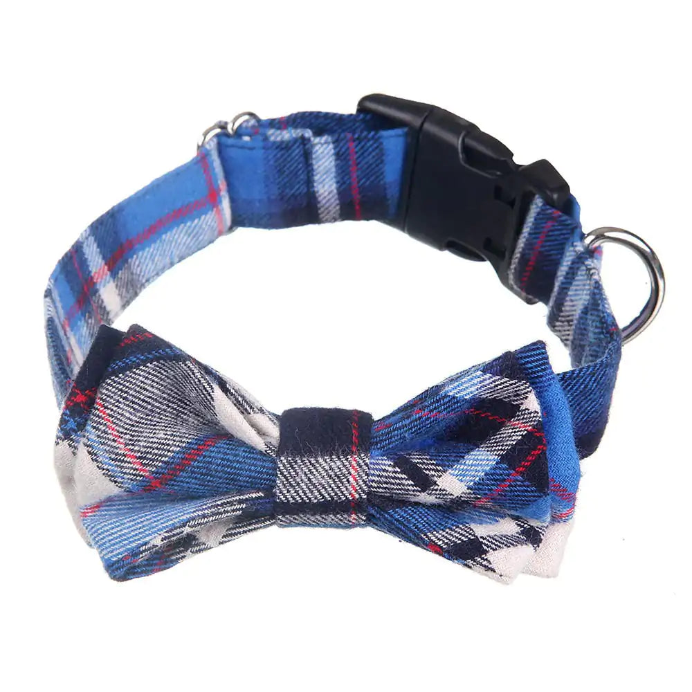 Pet+ presents Bow Tie Collars | Dog Collars