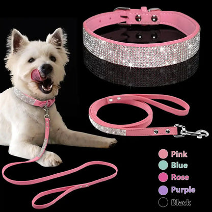 Pet+ presents Exclusive Leather Collar & Leash Combo | Pet Accessories | Pet Fashion