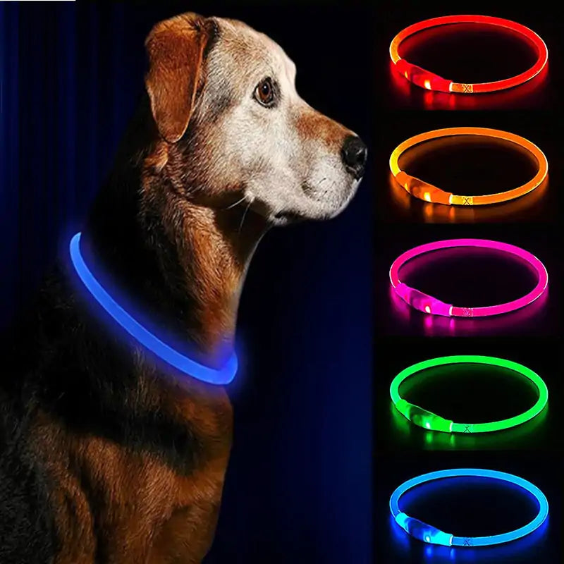 Pet+ presents LED Dog Collars | Pet Accessories | Waterproof Dog Collar