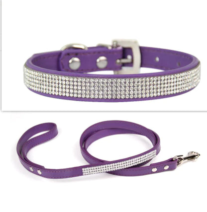 Pet+ presents Exclusive Leather Collar & Leash Combo | Pet Accessories | Pet Fashion